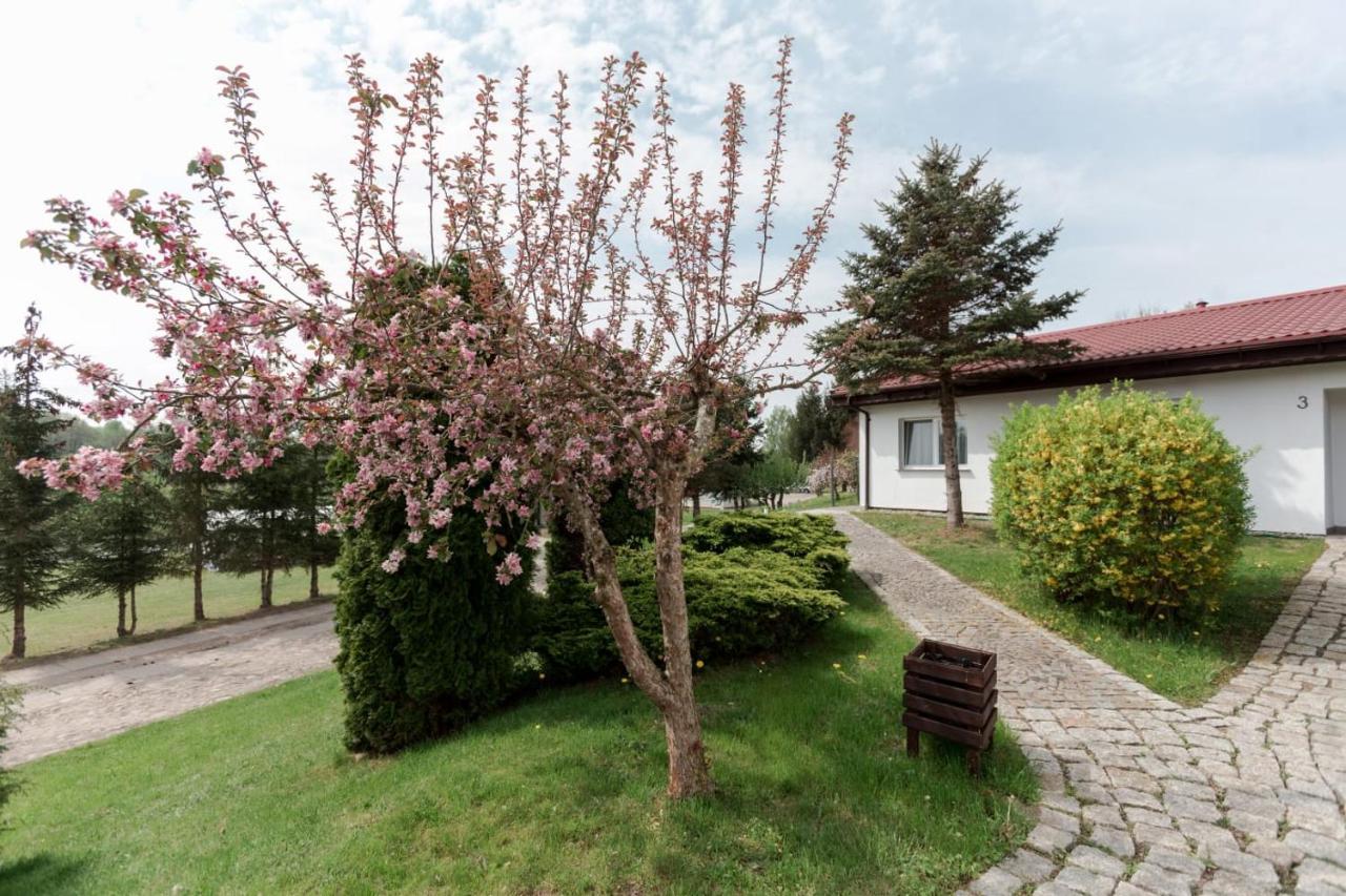 Petrico Camp Resort Krzywoploty  Eksteriør billede