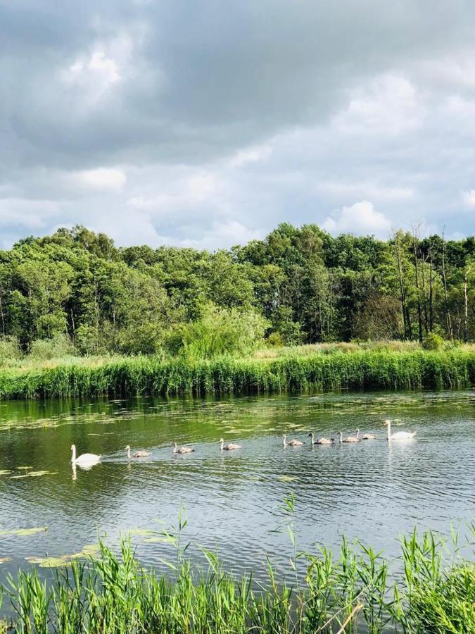 Petrico Camp Resort Krzywoploty  Eksteriør billede